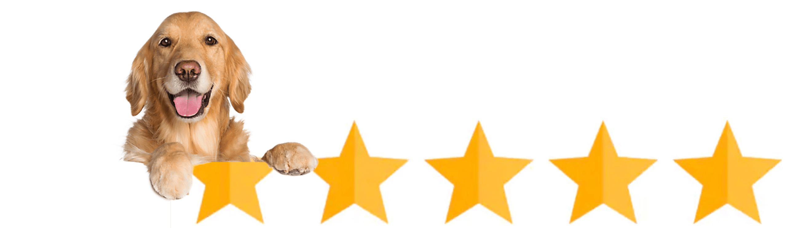 5 star ratings with dog