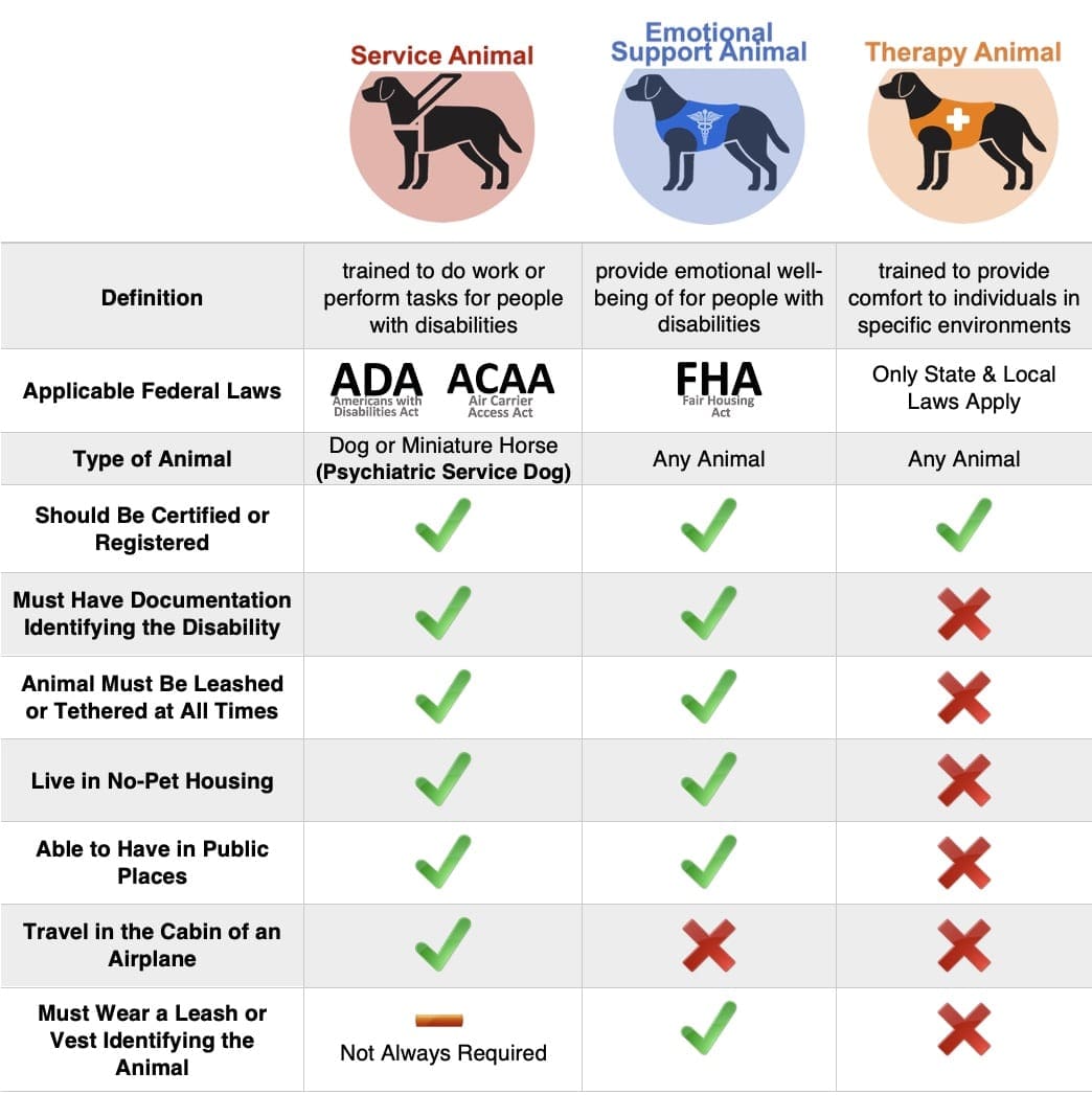 Service dog vs ESA vs therapy animal differences chart