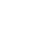 Secure Icon
