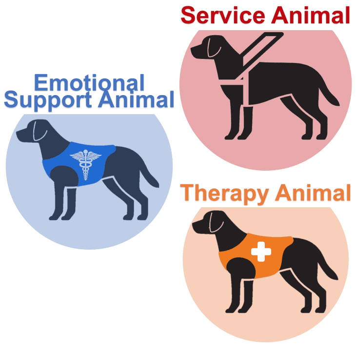 Service, Support & Therapy Dog Icon
