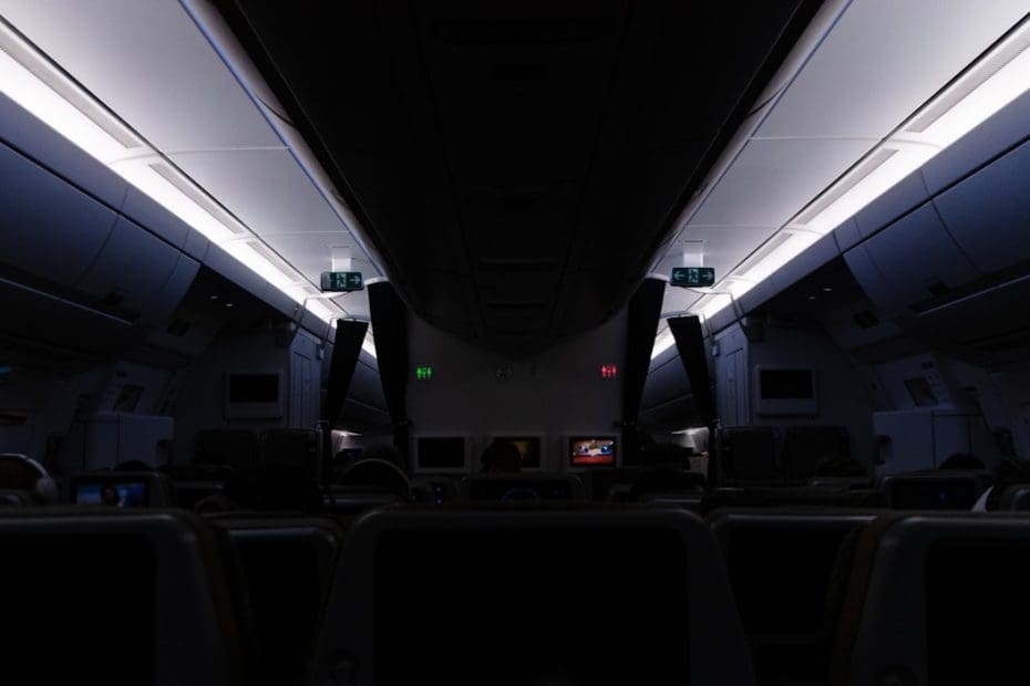 airline policies — 4 Major Airlines Service Dog Policies Compared: What Travelers Must Know