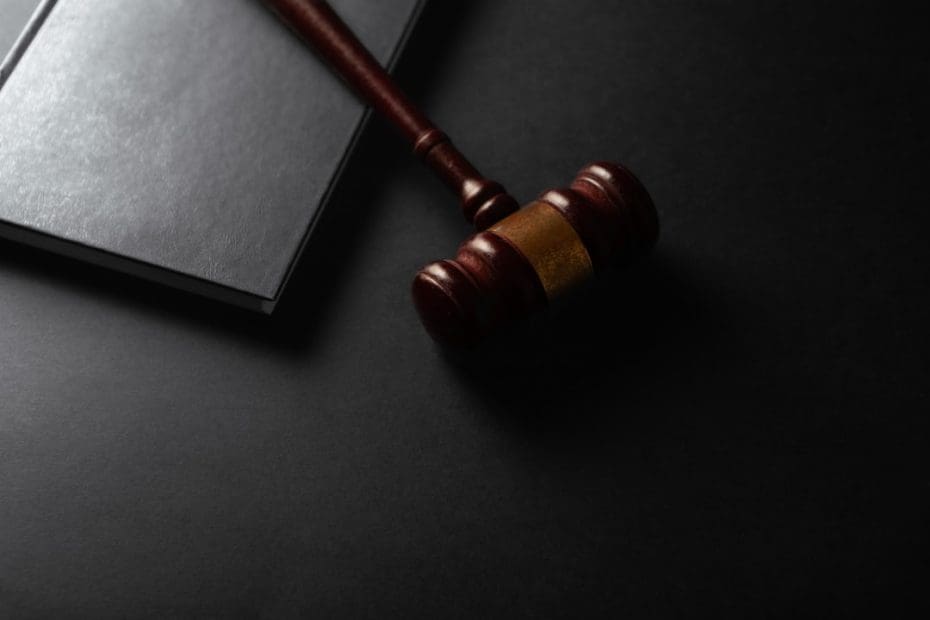 ADA service animal definition — 7 Key Ways Courts Interpret the ADA Service Animal Definition After 2011