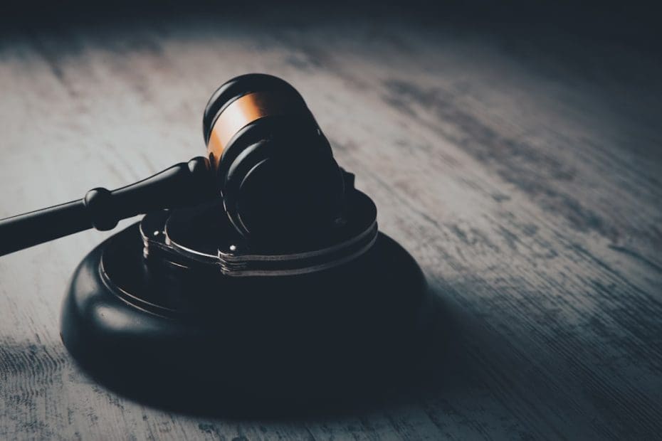 federal housing programs — Federal Housing Programs and Support Animals: FHA, Section 504, and Your Rights