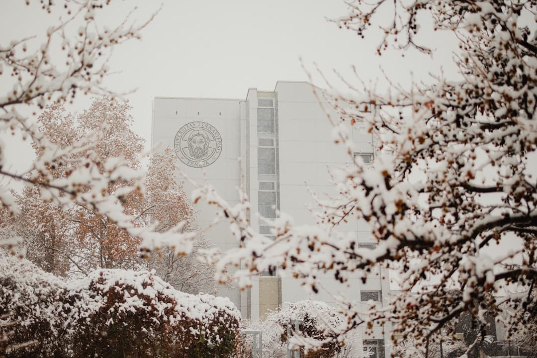 VA service dog — a snowy day in front of a university building