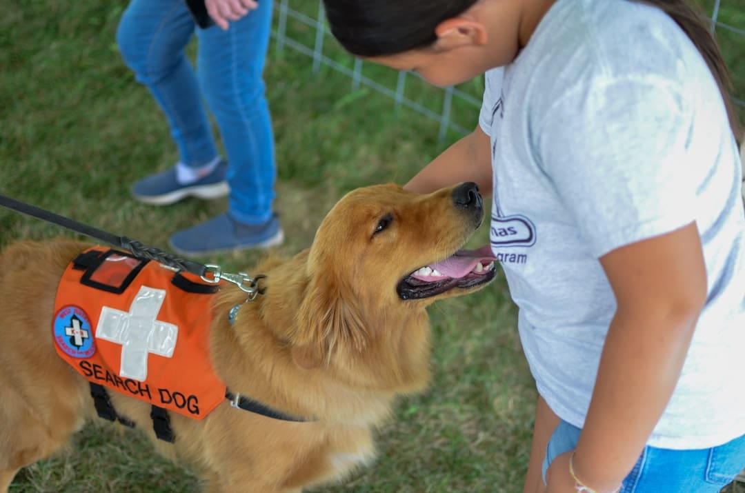 psychiatric service dogs — a dog on a leash