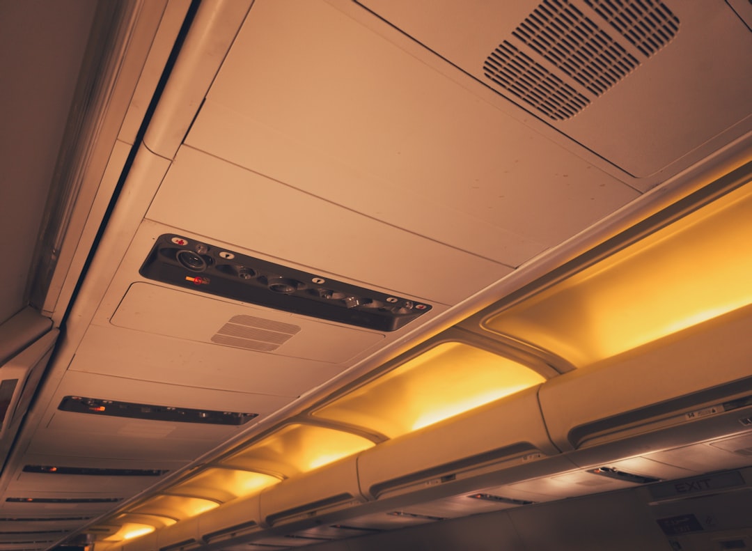 DOT service dog form — a view of the ceiling of an airplane