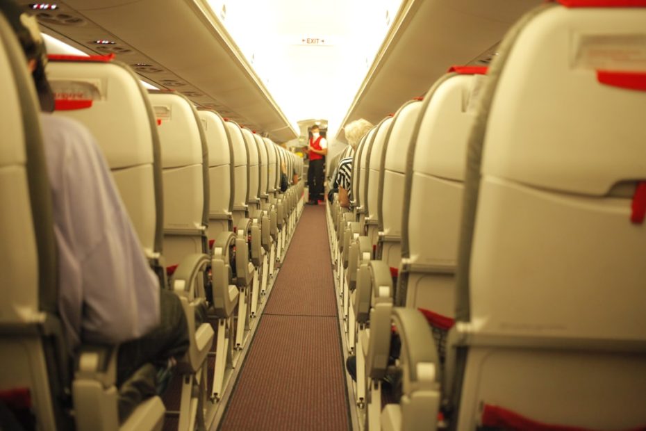 DOT service dog form — DOT Service Dog Air Travel Form: How to Fill It Out Correctly
