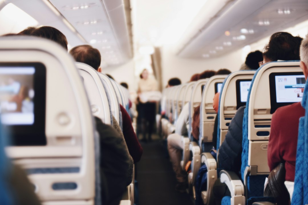DOT service animal form — shallow focus photography of people inside of passenger plane