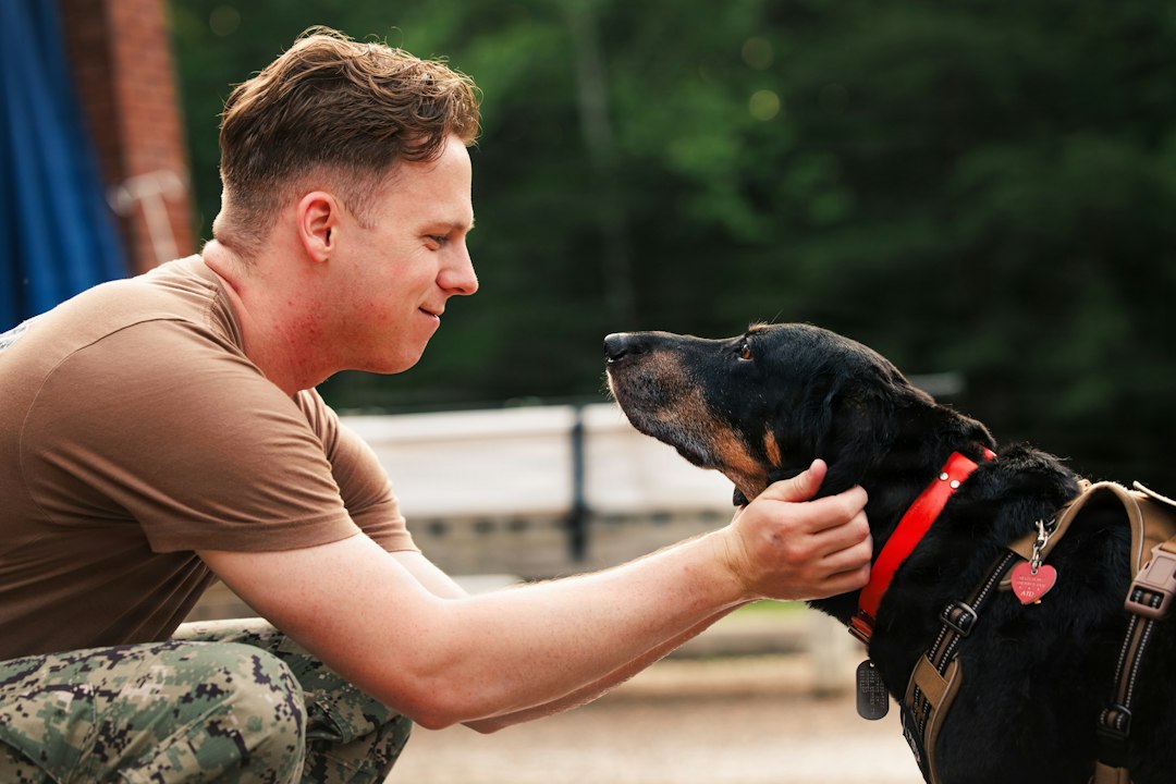 service dogs in training — Man in military uniform petting a black dog outdoors